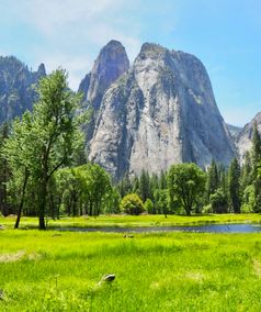 Cathedral Rocks Yosemite Valley